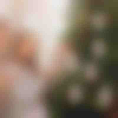 Ornamentet e Krishtlindjeve për të mbajtur para (4 copë) | WEALTHMAS