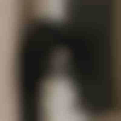 Ventilator i fuqishëm për ajër të pastër | VENTORIS