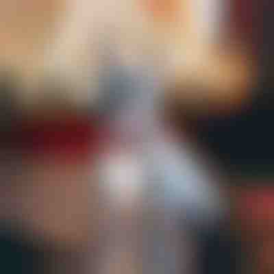 Kollare për qen me motiv dëbore | DOGICOLLAR